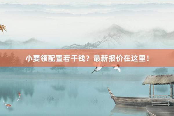 小要领配置若干钱？最新报价在这里！